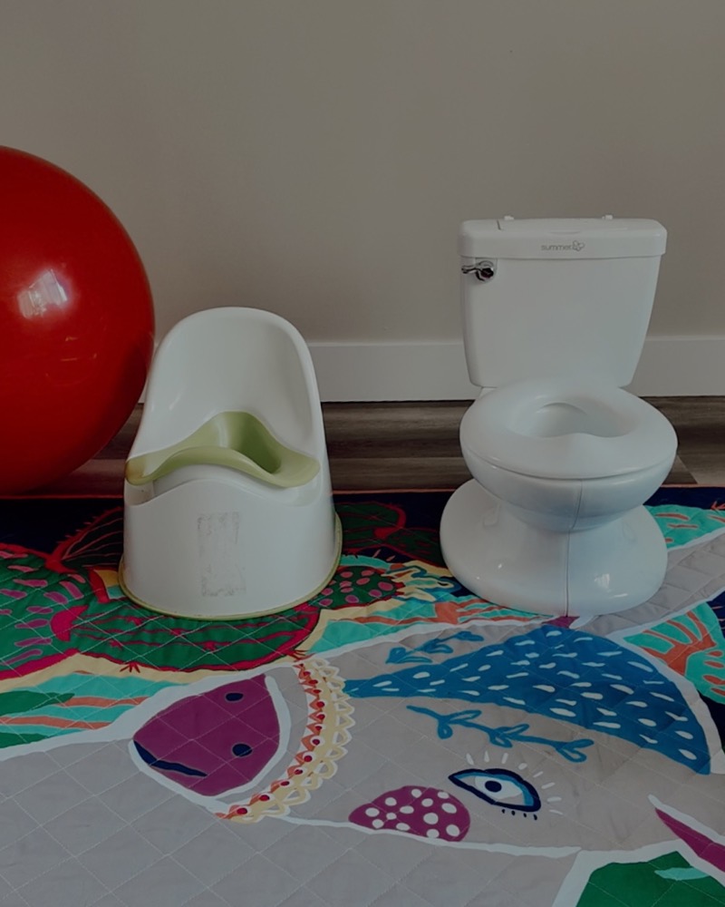 Child-size potty and training toilet on a play mat